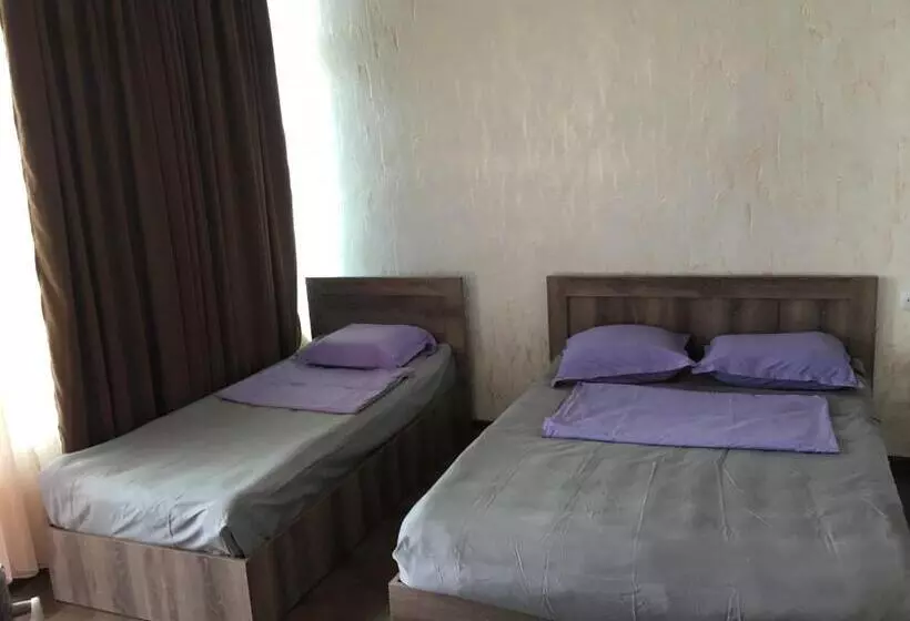 هاستل Inn David