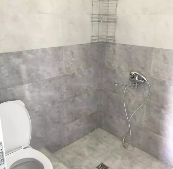 هاستل Inn David