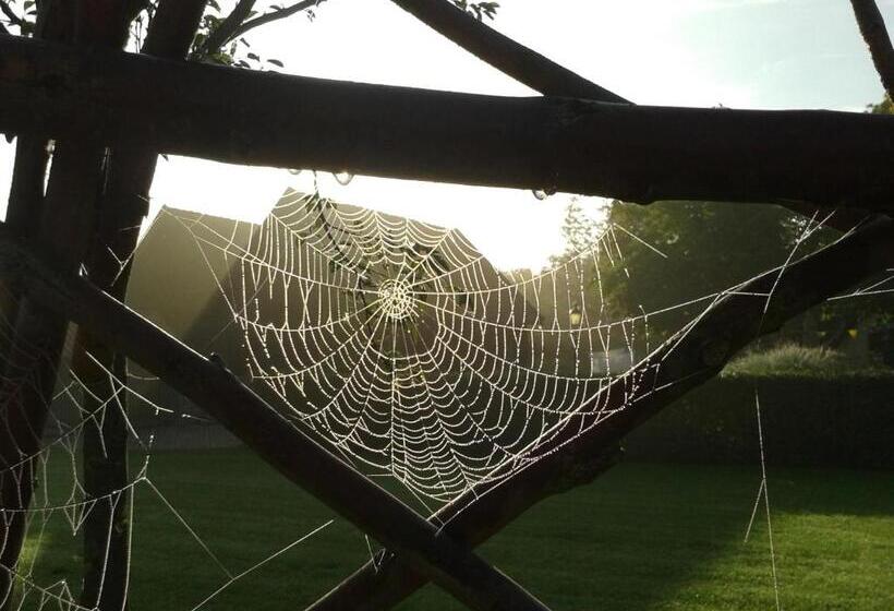 Bed And Breakfast Rodenberg