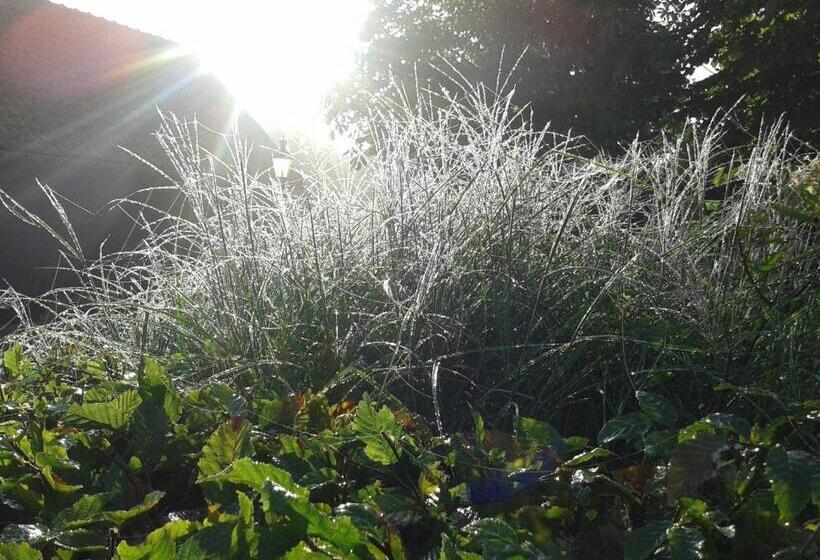 Bed And Breakfast Rodenberg