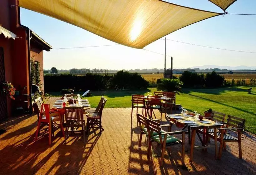 ホテル Agriturismo Podere Cirene