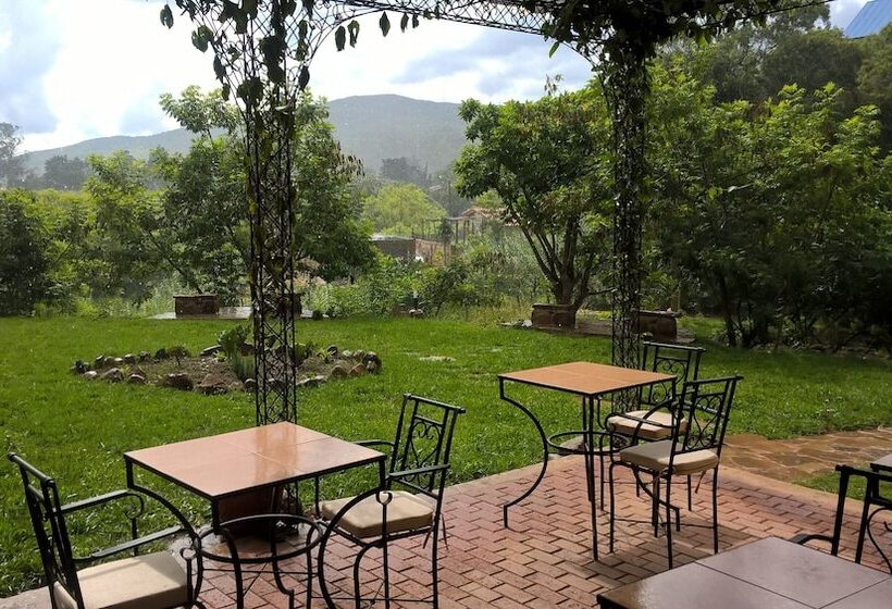 هتل La Vida Es Bella