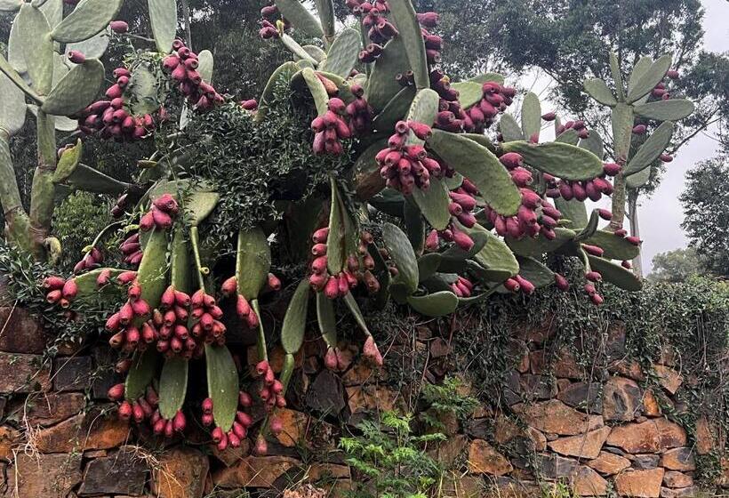 فندق Wyford Farm