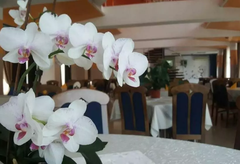 Motel Blue River Calimanesti