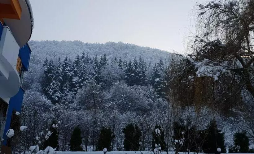 Motel Blue River Calimanesti