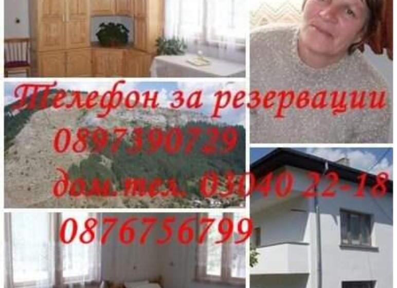 פנסיון Guest House Jani