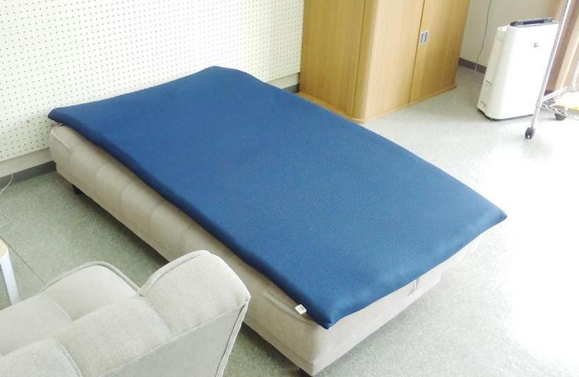 膳宿费 Minshuku Sakiya