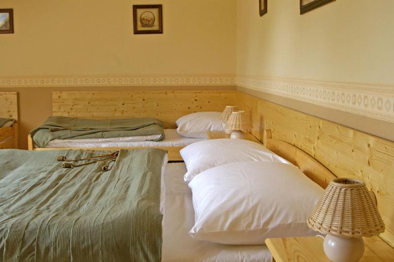 Пансион Penzion Bene