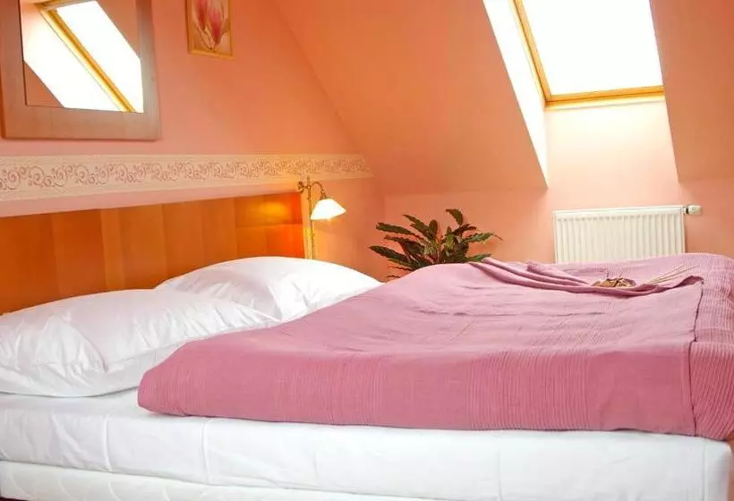 ペンション Penzion Bene