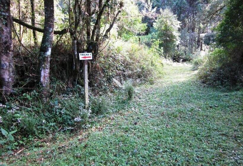 Pensão Pousada Passaredo