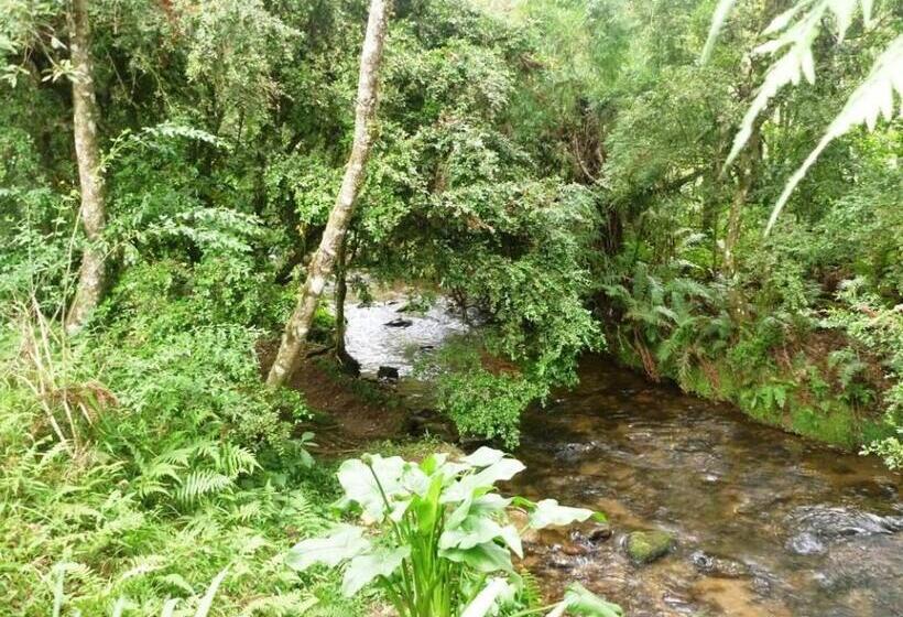 Pensão Pousada Passaredo