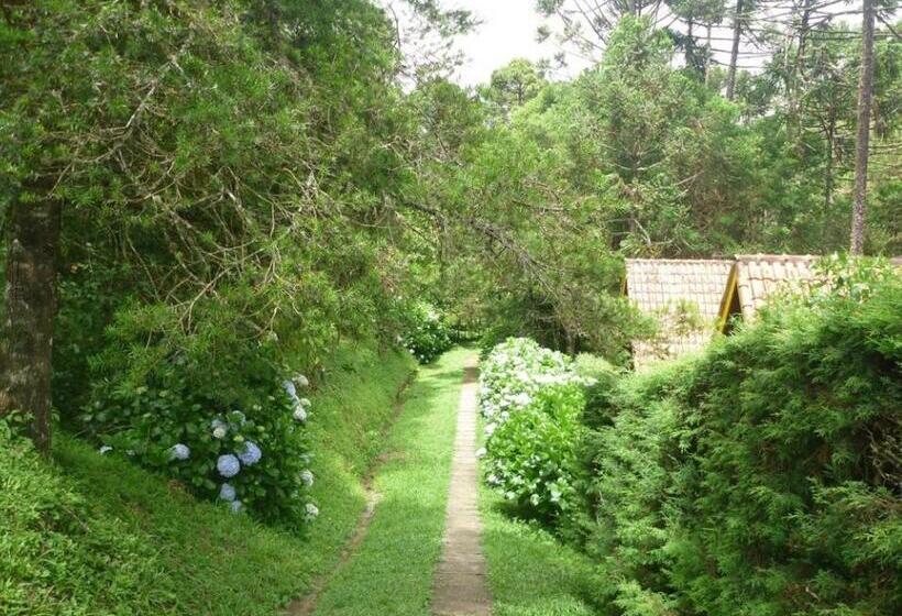 Pensão Pousada Passaredo