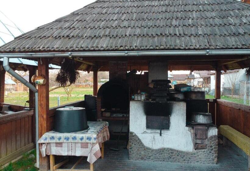 Pensiunea Teodora Teleptean