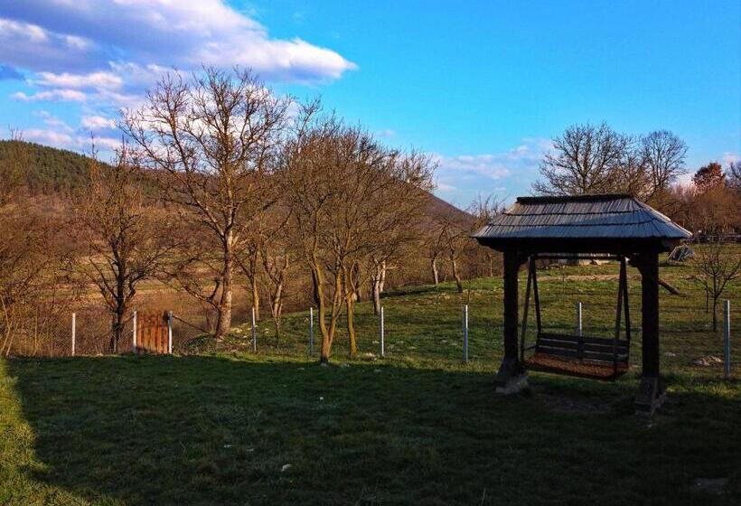 Pensiunea Teodora Teleptean