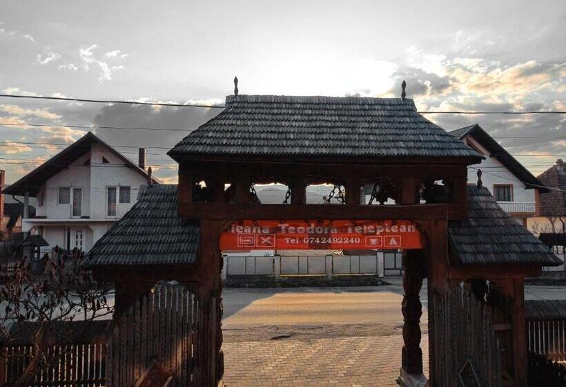 Pensiunea Teodora Teleptean