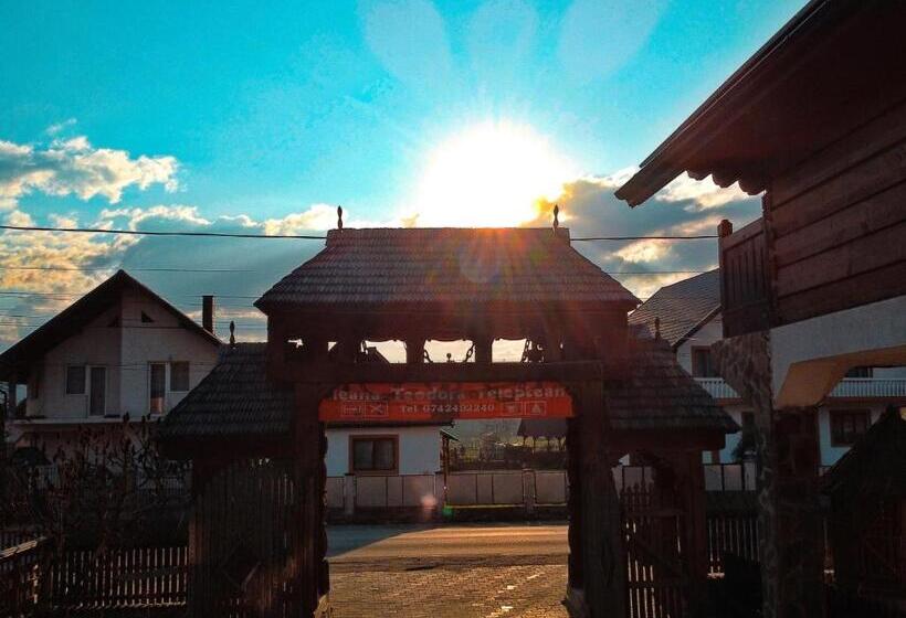 Pensiunea Teodora Teleptean