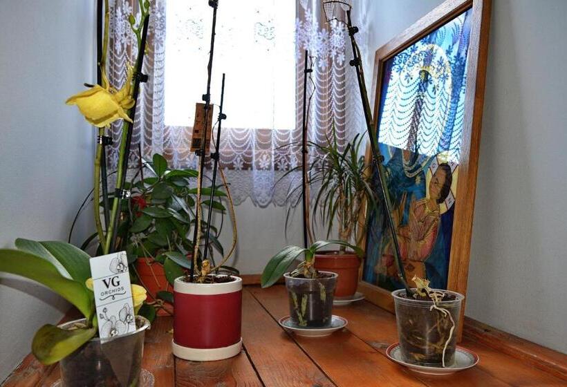 Pensiunea Teodora Teleptean