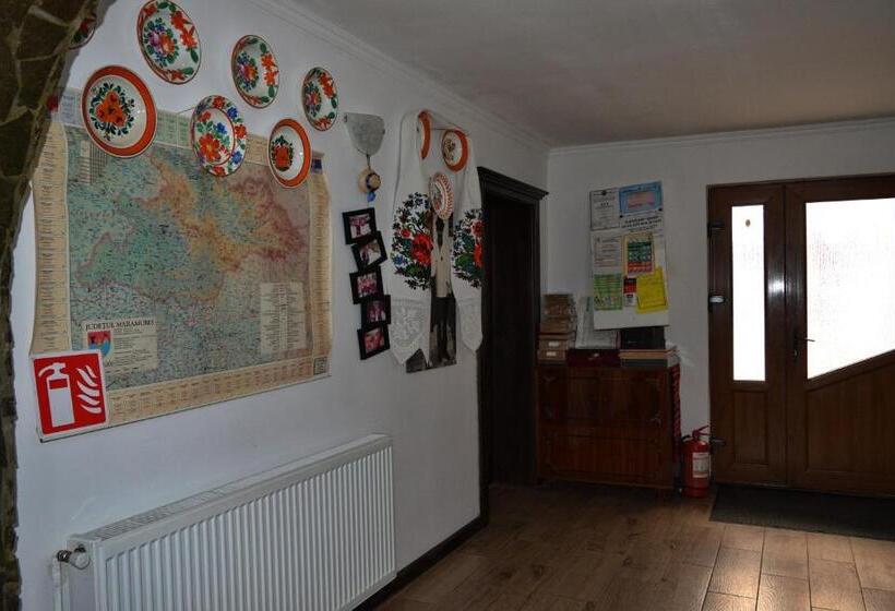 Pensiunea Teodora Teleptean