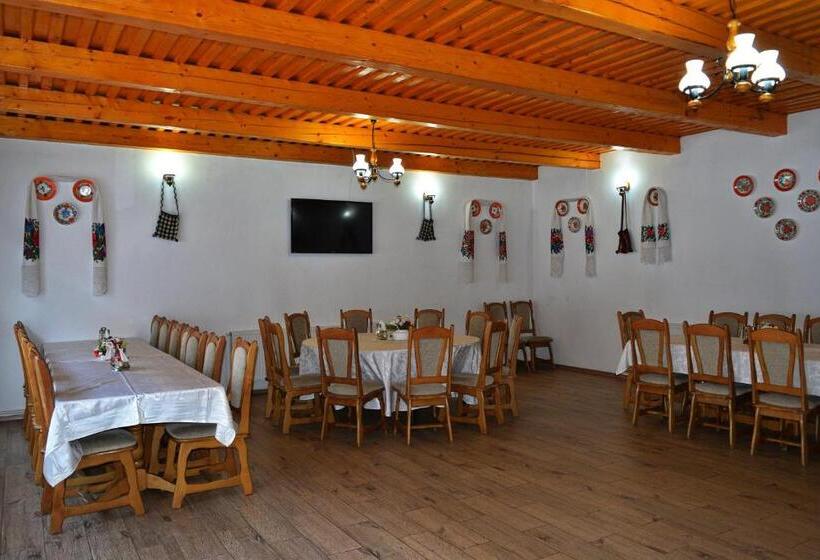 Pensiunea Teodora Teleptean