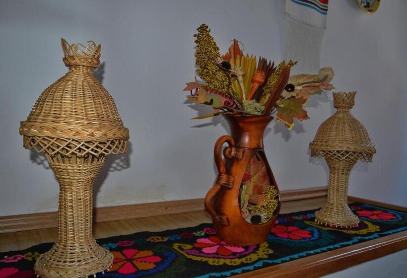 Pensiunea Teodora Teleptean