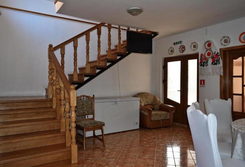 Pensiunea Teodora Teleptean