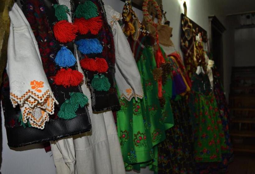 Pensiunea Teodora Teleptean