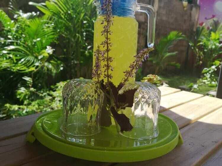 مبيت وإفطار City Apartment