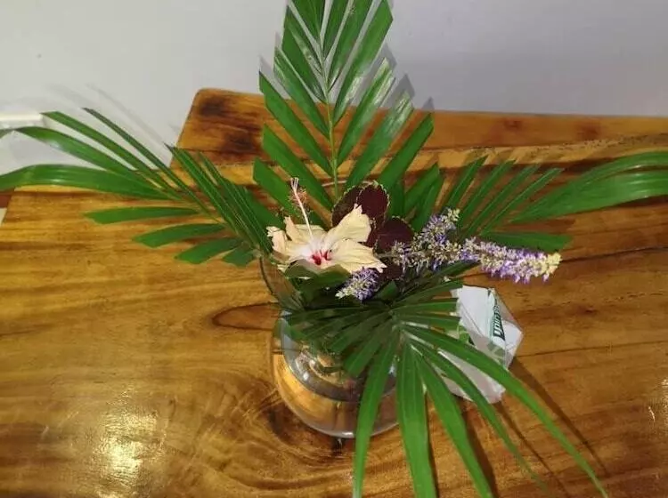 Aamiaismajoitus (B&B) City Apartment