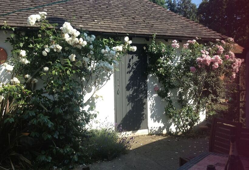 تختخواب و صبحانه West End Lodge