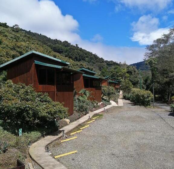 Отель Lauraceas Lodge