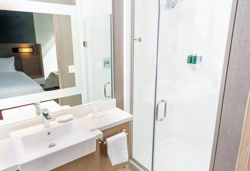 ホテル Springhill Suites By Marriott Newark Fremont