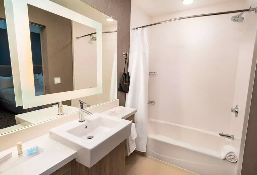 ホテル Springhill Suites By Marriott Newark Fremont