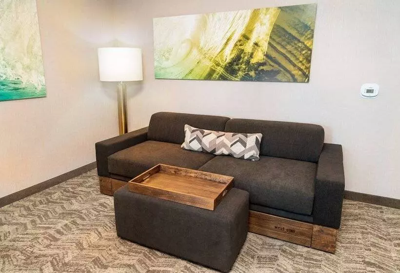 ホテル Springhill Suites By Marriott Newark Fremont