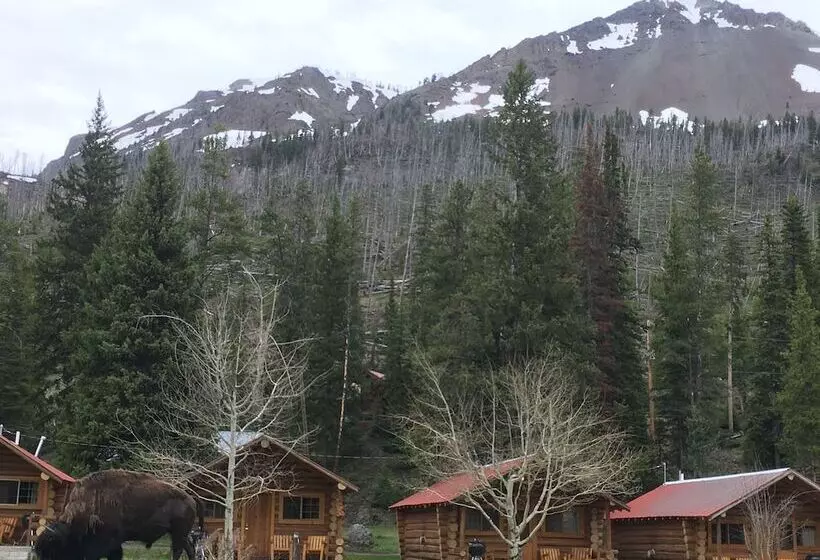 Motelli Silver Gate Lodging