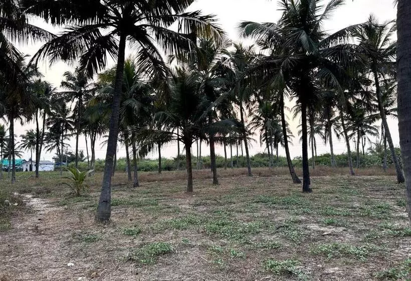 Majatalo O  Palmar Beach Cottages Benaulim