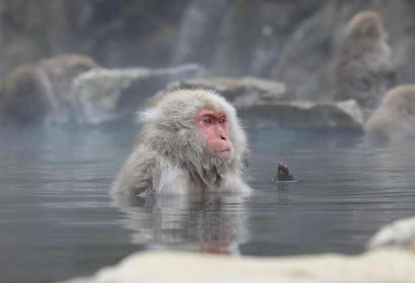 هاستل Guesthouse Matsushiro Walkers