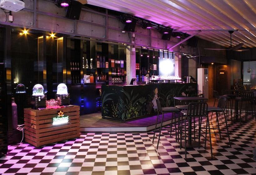 Hotel Alice And Trunk