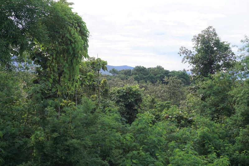 בית מלון כפרי Amaravati Wellness Center And Resort