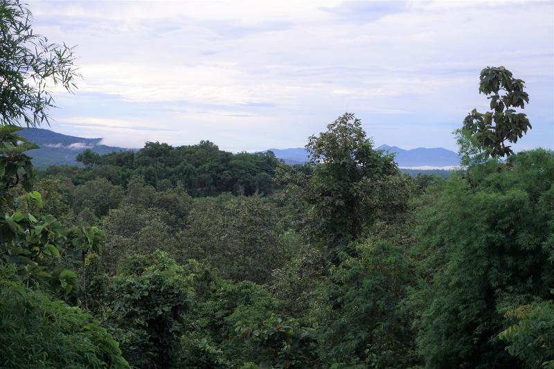 בית מלון כפרי Amaravati Wellness Center And Resort