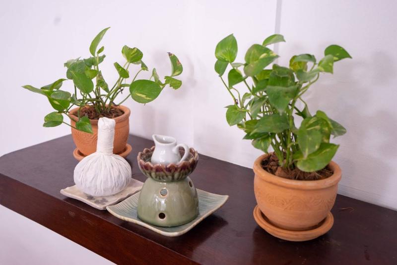 בית מלון כפרי Amaravati Wellness Center And Resort