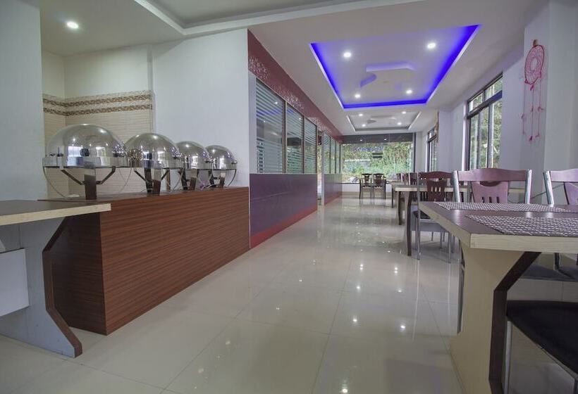 Hotel Local Connection Blue Sapphire