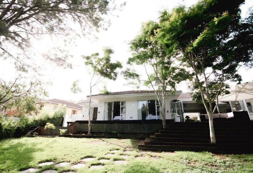 ベッドアンドブレックファースト Leopard Tree