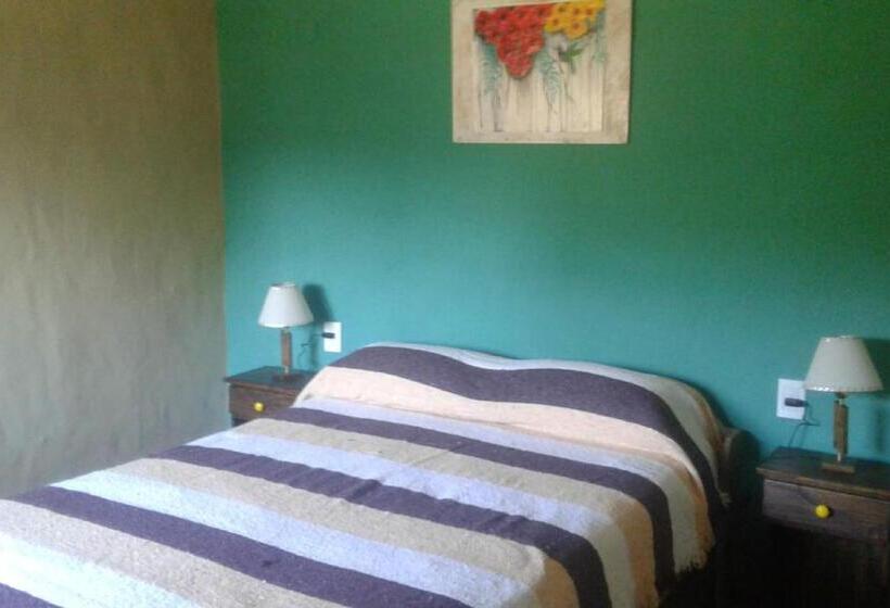 Pension Cabañas Kangarú