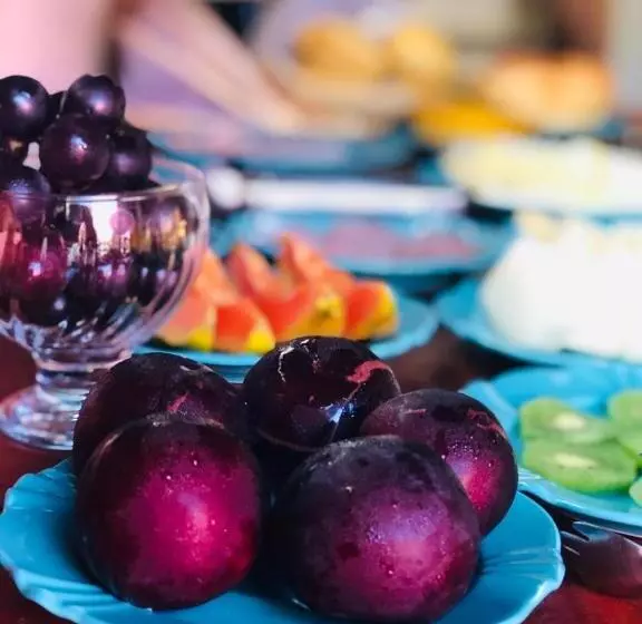 ユースホステル Pousada Pináles