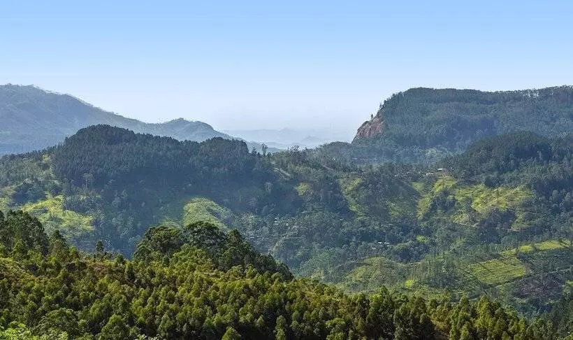 Anasa Wellness Resort