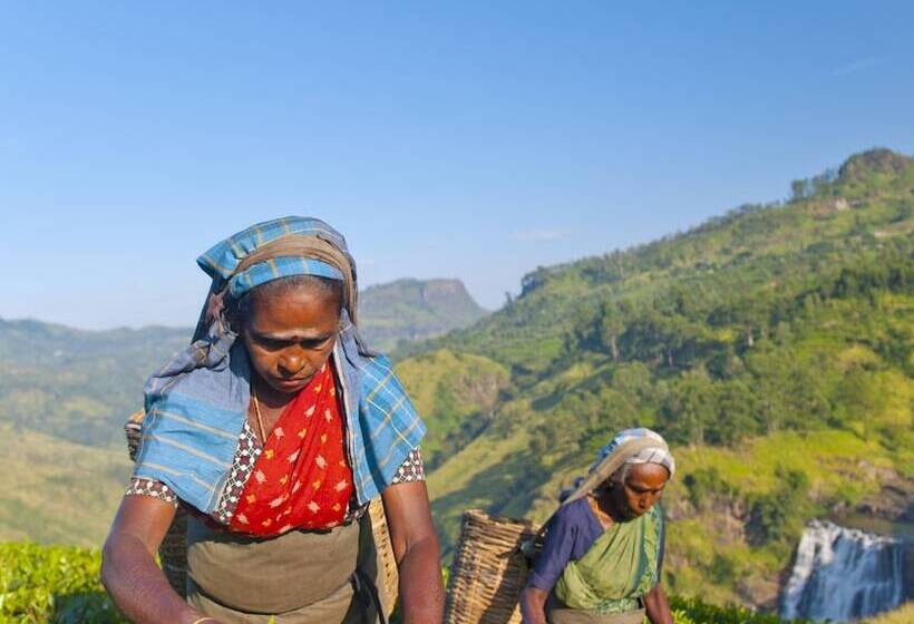 Anasa Wellness Resort