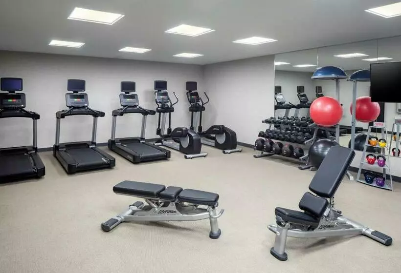 Hotelli Springhill Suites By Marriott New York Jfk Airport/jamaica