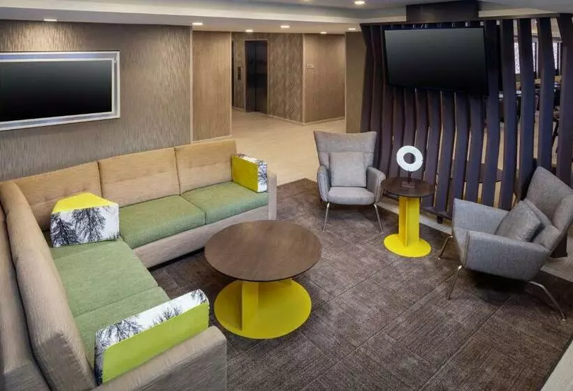Hotelli Springhill Suites By Marriott New York Jfk Airport/jamaica