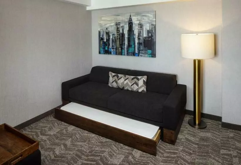 Hotelli Springhill Suites By Marriott New York Jfk Airport/jamaica