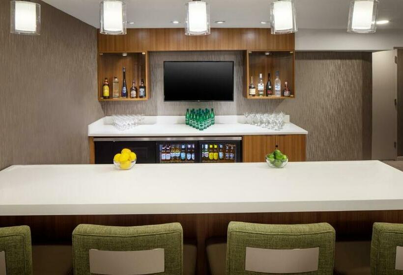 호텔 Springhill Suites By Marriott New York Jfk Airport/jamaica